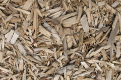 biomass boilers Gartcosh